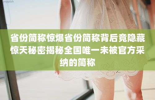 省份简称惊爆省份简称背后竟隐藏惊天秘密揭秘全国唯一未被官方采纳的简称